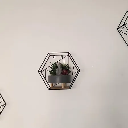 Chaleureux, Proche De La Gare * 페르피냥