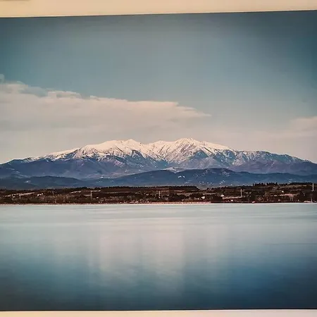 Chaleureux, Proche De La Gare Perpignan